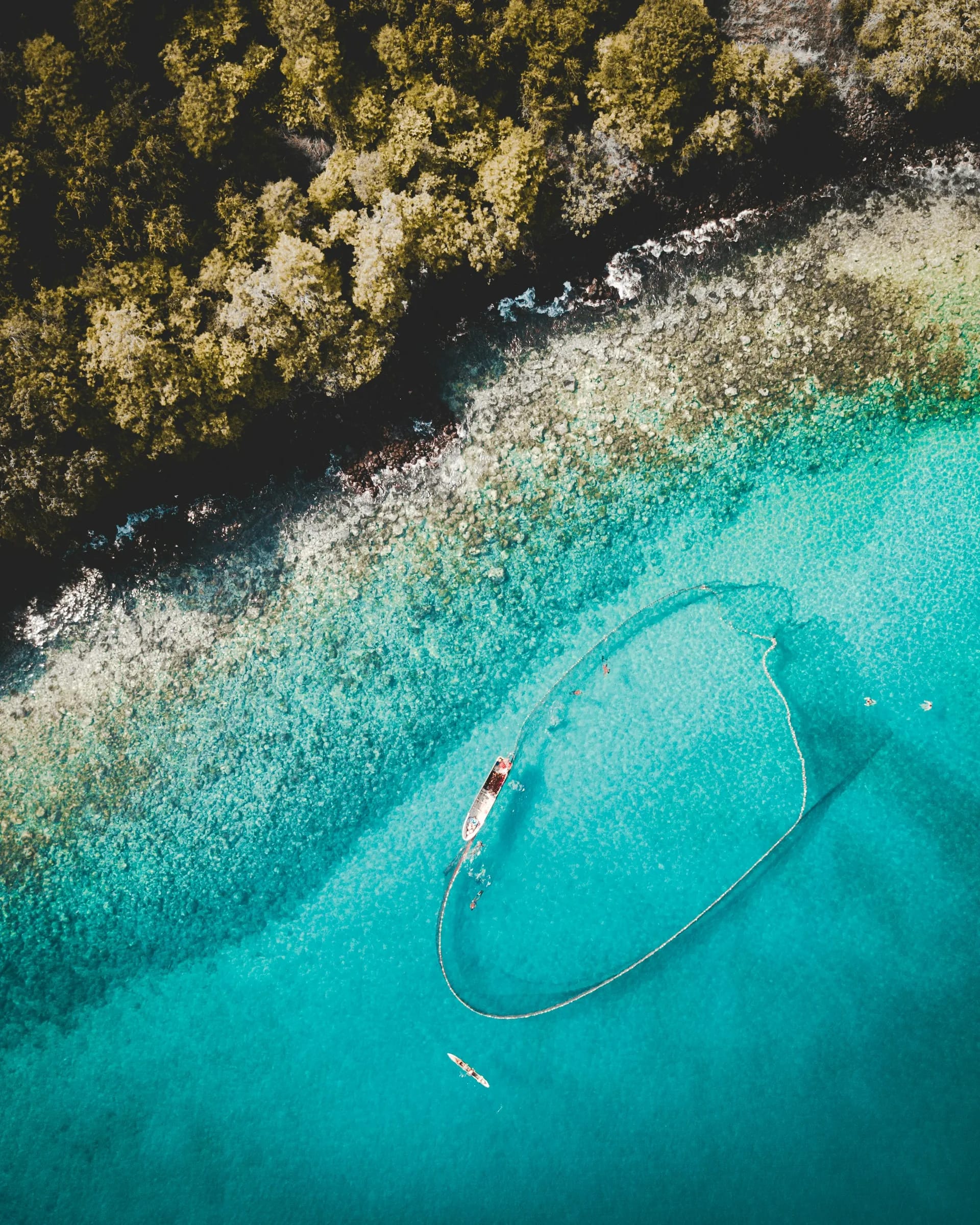 An aerial view of a turquoise lagoon with a small fishing boat and a net, beside a forested shoreline and a reef.